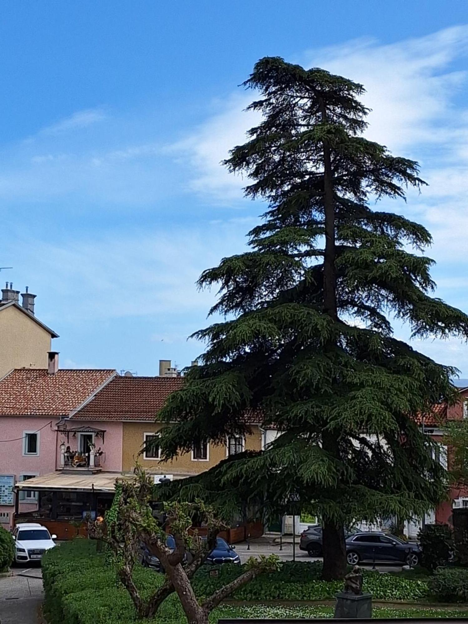 Apartments Knezgrad Lovran Luaran gambar